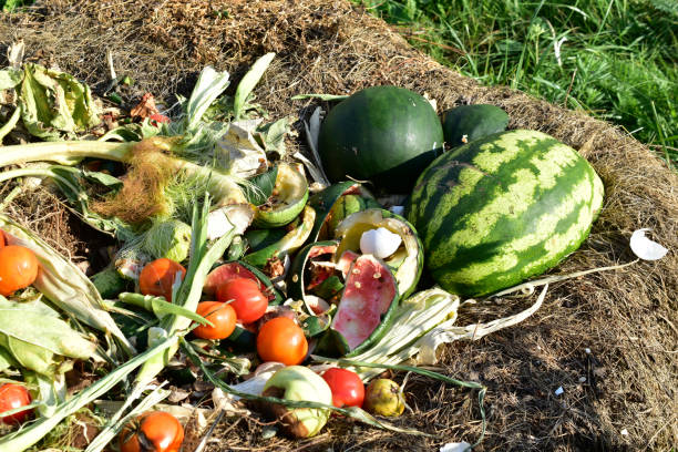 istock Compost heap with rotting food and vegetable remains 1271385944