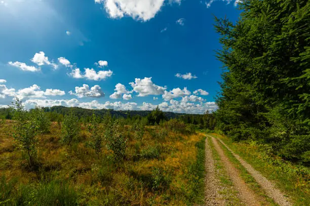 Photo of Sunny view with a dramatic sky on the national park Ardennes and Eifel in the Liege province in Belgium