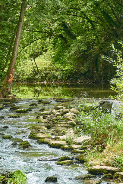 istock Creek with mossy stones 1271388876