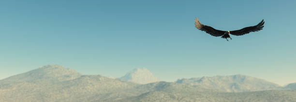istock Eagle flying in the clouds at dawn 1271390244
