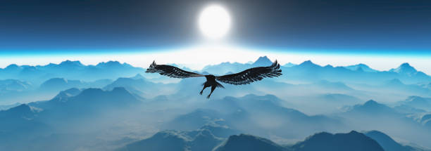 istock Eagle flying in the clouds at dawn 1271390357