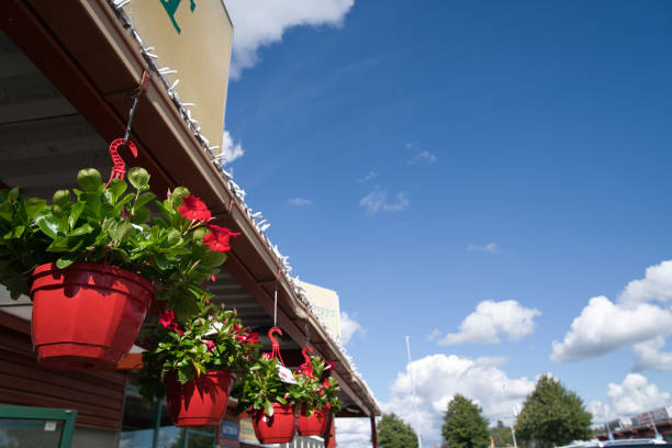 istock Planter red flowers under the eaves and clear blue sky 1271392003