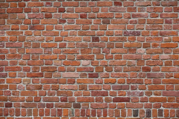 istock Old wall as a background for graphic designs 1271394912