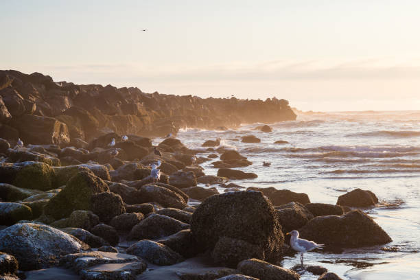 Waves crashing along the shoreline and breaking against the rocks of a Jetty.