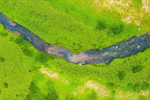 istock a stream flows through a green grassy landscape from above 1271399098