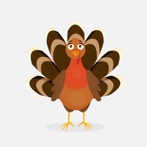 vektor-illustration von glücklichen thanksgiving truthahn - turkey thanksgiving cartoon animated cartoon stock-grafiken, -clipart, -cartoons und -symbole