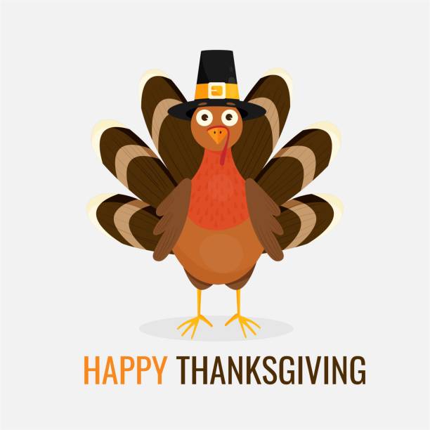 ilustraciones, imágenes clip art, dibujos animados e iconos de stock de ilustración vectorial de pavo de acción de gracias feliz usando sombrero piligrim - turkey