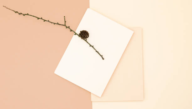 istock Autumn background with spruce twig blank stationary template, invitation mock up, empty paper card with copy space for text from top on beige background. Top view. Flat lay. Fall winter seasons 1271400041