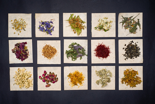 Herbal tea flowers collection on individual paper cards making a background flat lay pattern. Tea crop collection of green tea Mint leaf acacia St. John's wort milk thistle and many more