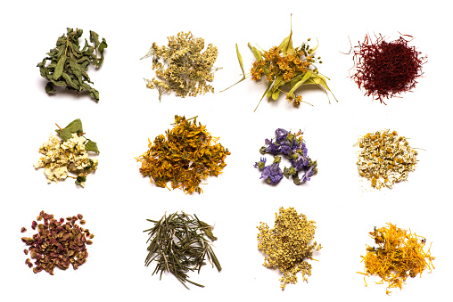 Herbal tea flowers collection on white background flat lay pattern