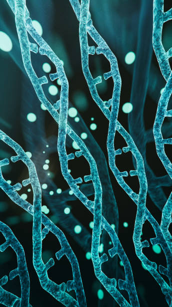 DNA strands stock photo