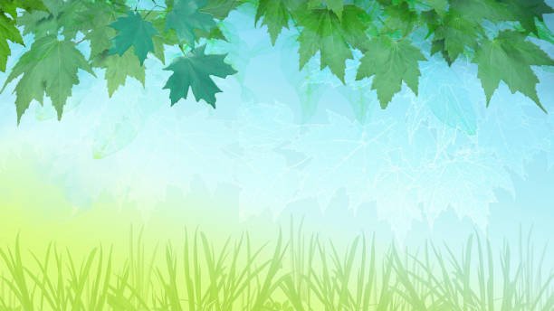 Nature Background of Green Leaves and Grass with Copy Space. Frame - Border