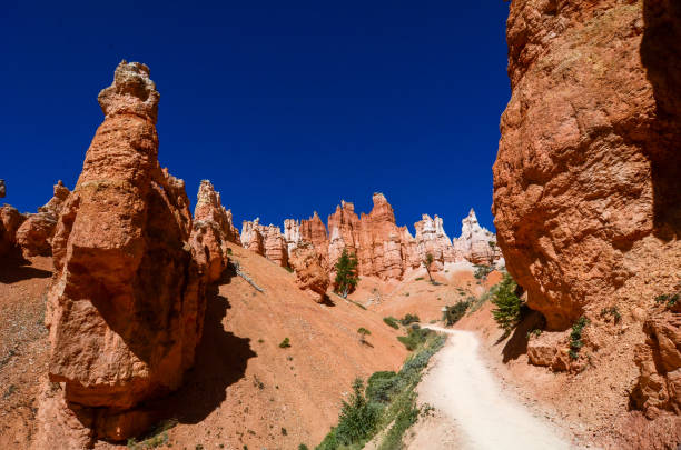 istock Bryce Canyon NP - Peek-a-boo Trail close to the Bottom 1271406170