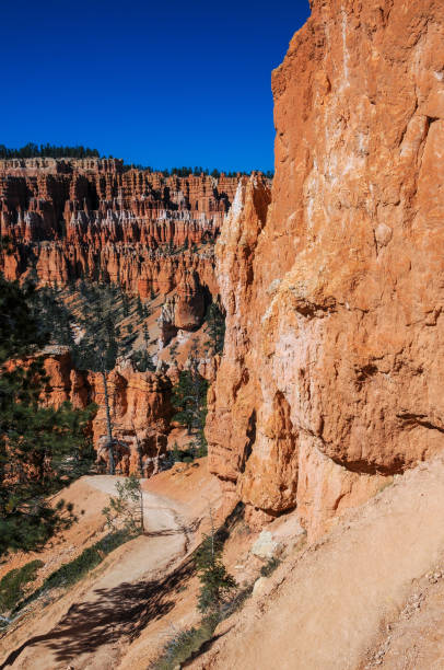 istock Bryce Canyon NP - The Narrow Pathway 1271406312
