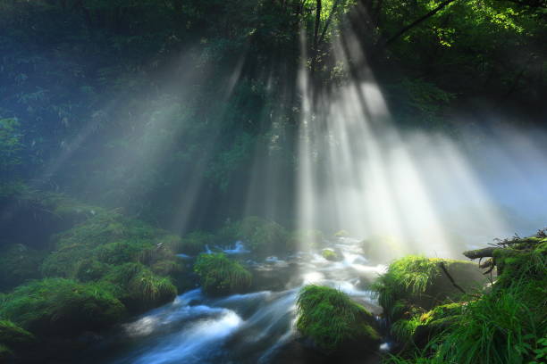 istock Akita Prefecture Summer Stream 1271406373