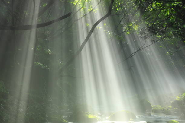 istock Akita Prefecture Summer Stream 1271406379