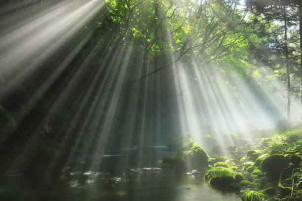 istock Akita Prefecture Summer Stream 1271406395