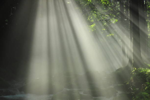 istock Akita Prefecture Summer Stream 1271406431
