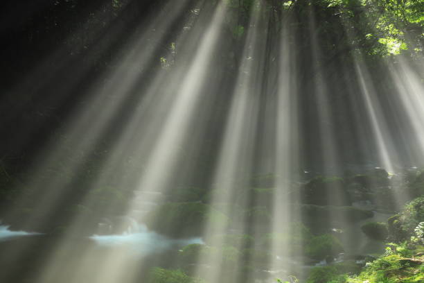 istock Akita Prefecture Summer Stream 1271406441