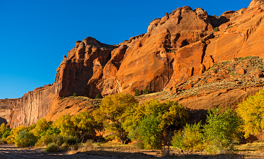 The rich, deep, and orange colors of a high canyon wall are accented by the deep blue desert Autumn sky.