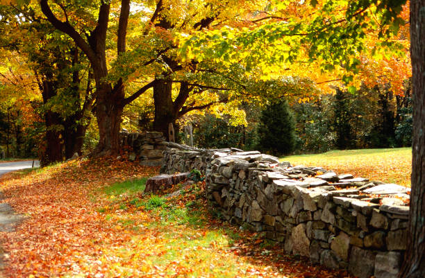 istock Stone Fence through the Countryside 1271407760