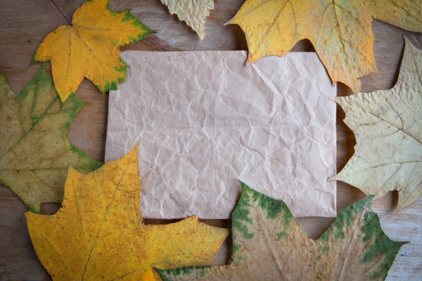istock Dry maple leafs on wooden background, copy space 1271408396