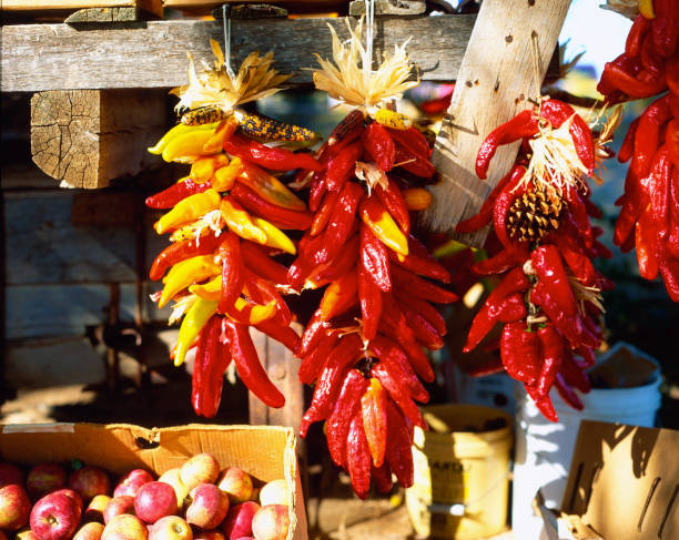 istock Red and Yellow Chile Ristras -7 1271412160