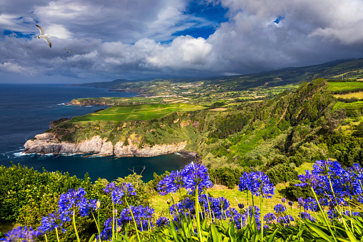 View from Miradouro de Santa Iria on the island of SÃ£o Miguel in the Azores. The view shows part of the northern coastline with cliffs and green fields on the clifftop. Azores, Sao Miguel, Portugal