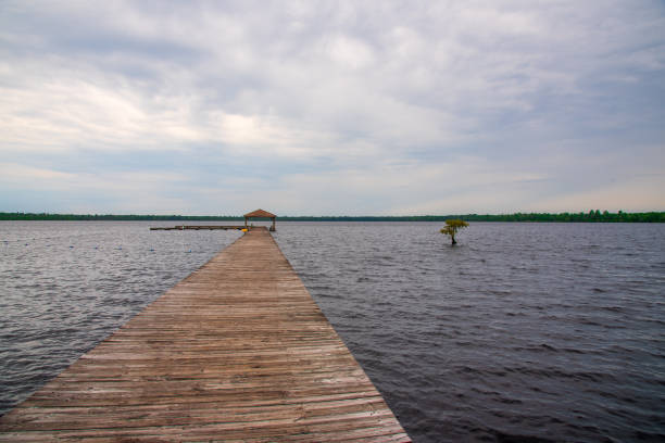 istock Pier on the Lake 1271427907