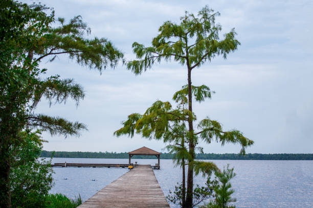 istock Pier on the Lake 1271428516