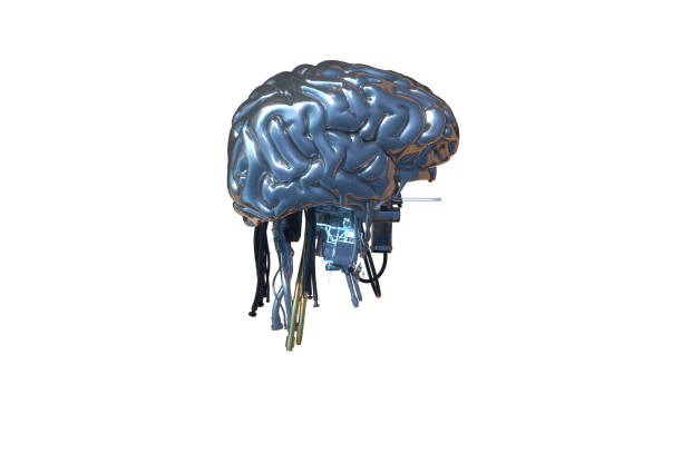 istock Sci-fi robotic brain organ, 3d render isolated on white background 1271431790