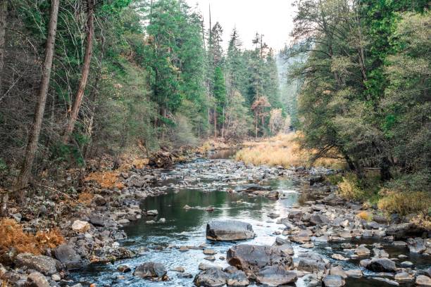 istock yosemite national park scenery early morning 1271431933