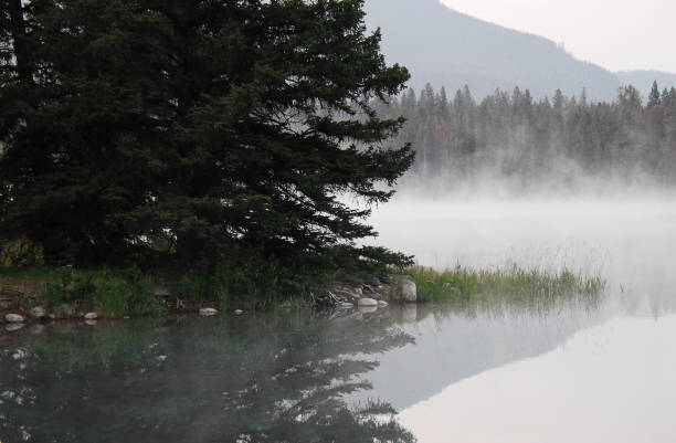 istock Canada- Banff- Reflected View Over a Misty Lake in the Morning 1271433116