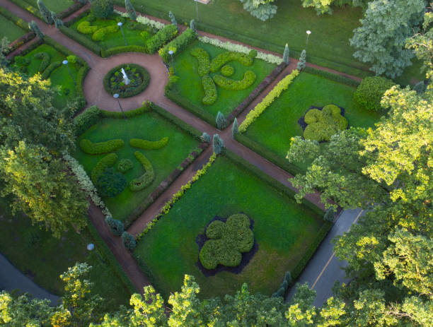istock Bucha Central Park, French style. Drone view. 1271433850