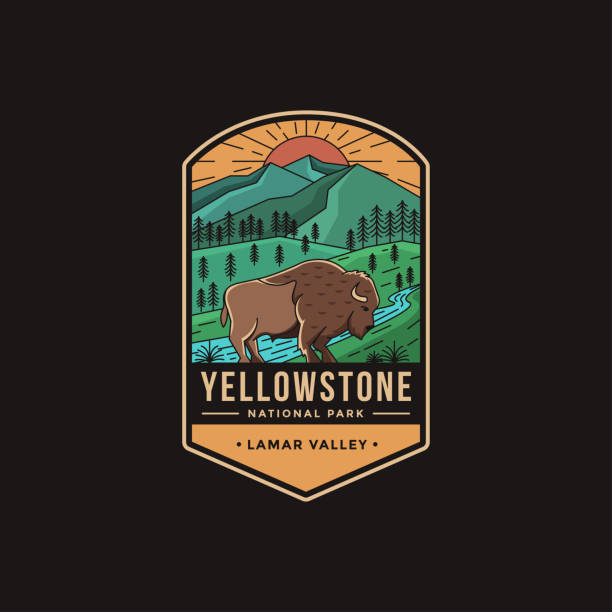 ilustraciones, imágenes clip art, dibujos animados e iconos de stock de ilustración vectorial de parche lineart emblem del parque nacional lamar valley yellowstone - parque nacional de yellowstone