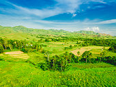 The verdant rolling hills of Ubay and Alicia Bohol, Philippines. Windows XP wallpaper lookalike.