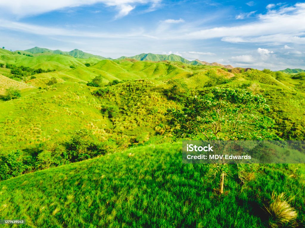 The verdant rolling hills of Ubay and Alicia Bohol, Philippines. Windows XP wallpaper lookalike. Agricultural Field Stock Photo