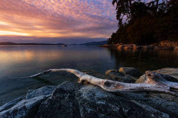 Vancouver Island Sunset Sunset along the shores of the Saanich Peninsula located on southern Vancouver Island. saanich peninsula photos stock pictures, royalty-free photos & images