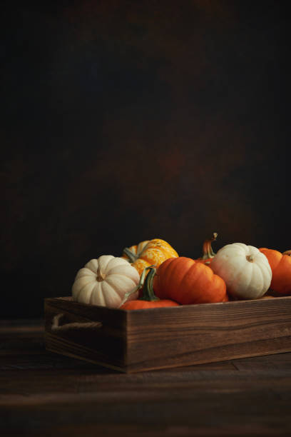 istock Thanksgiving background with pumpkin collection on dark rustic wood table 1271448183
