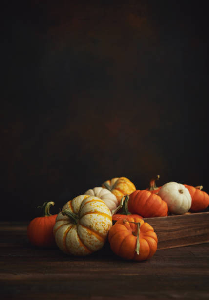 istock Thanksgiving background with pumpkin collection on dark rustic wood table 1271448184