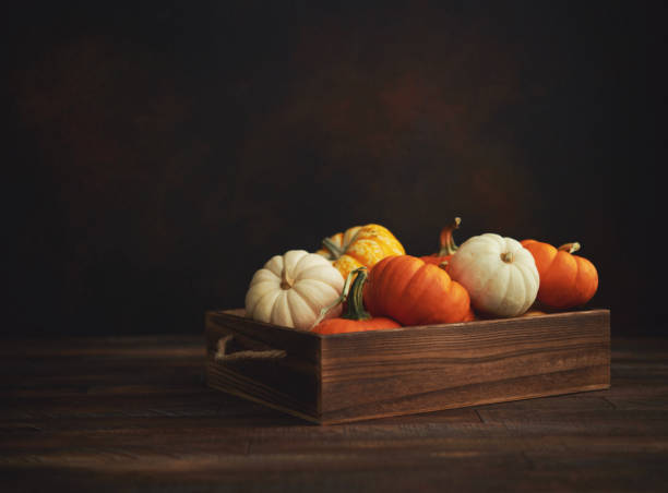 istock Thanksgiving background with pumpkin collection on dark rustic wood table 1271448215