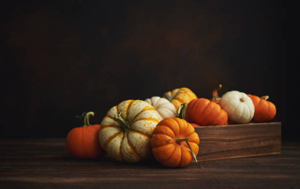 istock Thanksgiving background with pumpkin collection on dark rustic wood table 1271448231