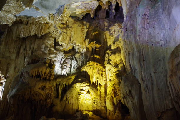 istock Phong Nha-Ke Bang National Park 1271448866