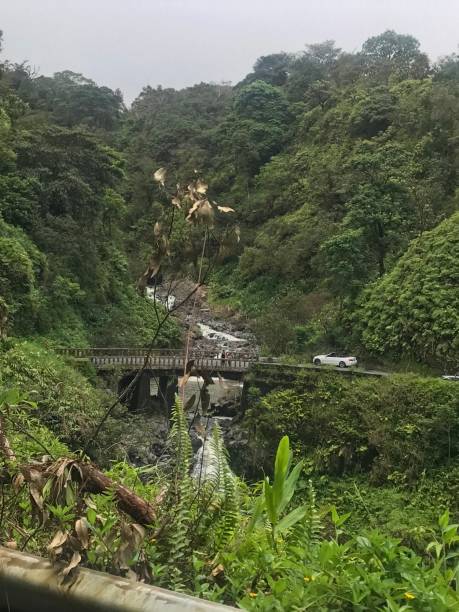 strada per hana maui - waterfall maui hana coast hawaii islands foto e immagini stock