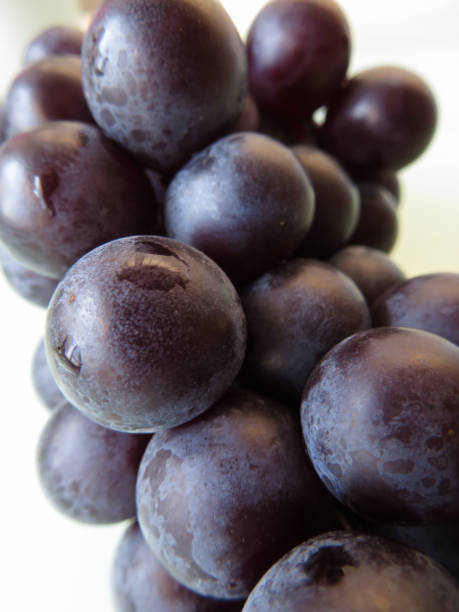 istock A cluster of grapes on white background 1271451638