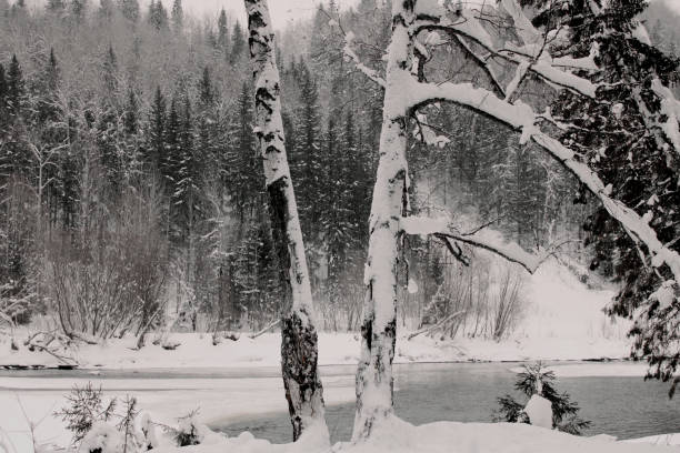 Day after the last snow day in winter.Tranquil and serene panorama in a remote location.