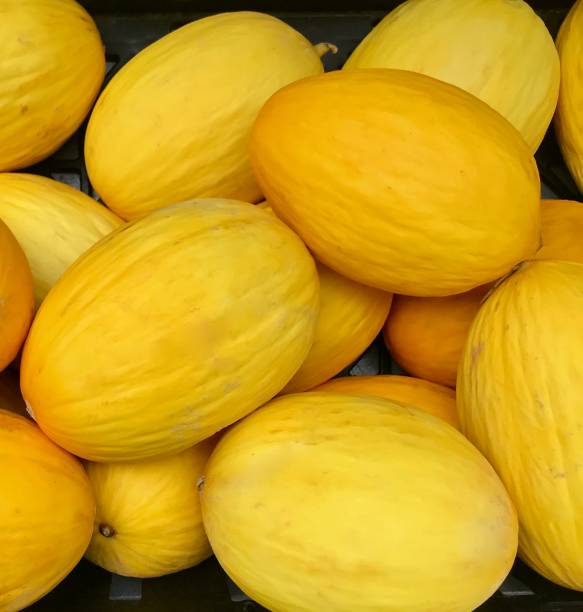 istock Sunny yellow melons seen from above 1271461867