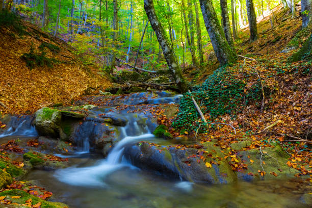 istock autumn mountain canyon 1271462868