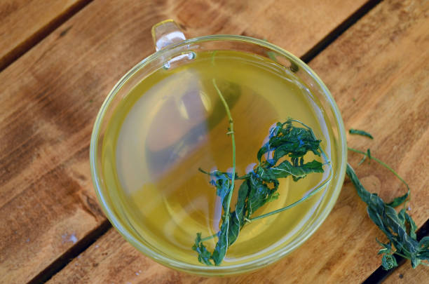 istock Green tea with lemon balm and a sprig of mint. 1271463932
