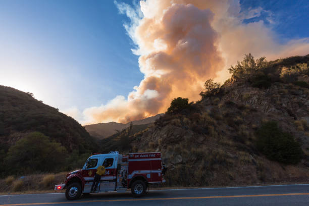 strażacy oczyścić ziemię i rzucać wodą podczas pożaru w kalifornii - pine tree flash zdjęcia i obrazy z banku zdjęć